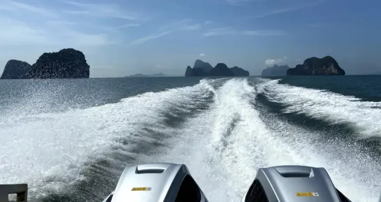 Three unique WordPress plugins to make your website faster